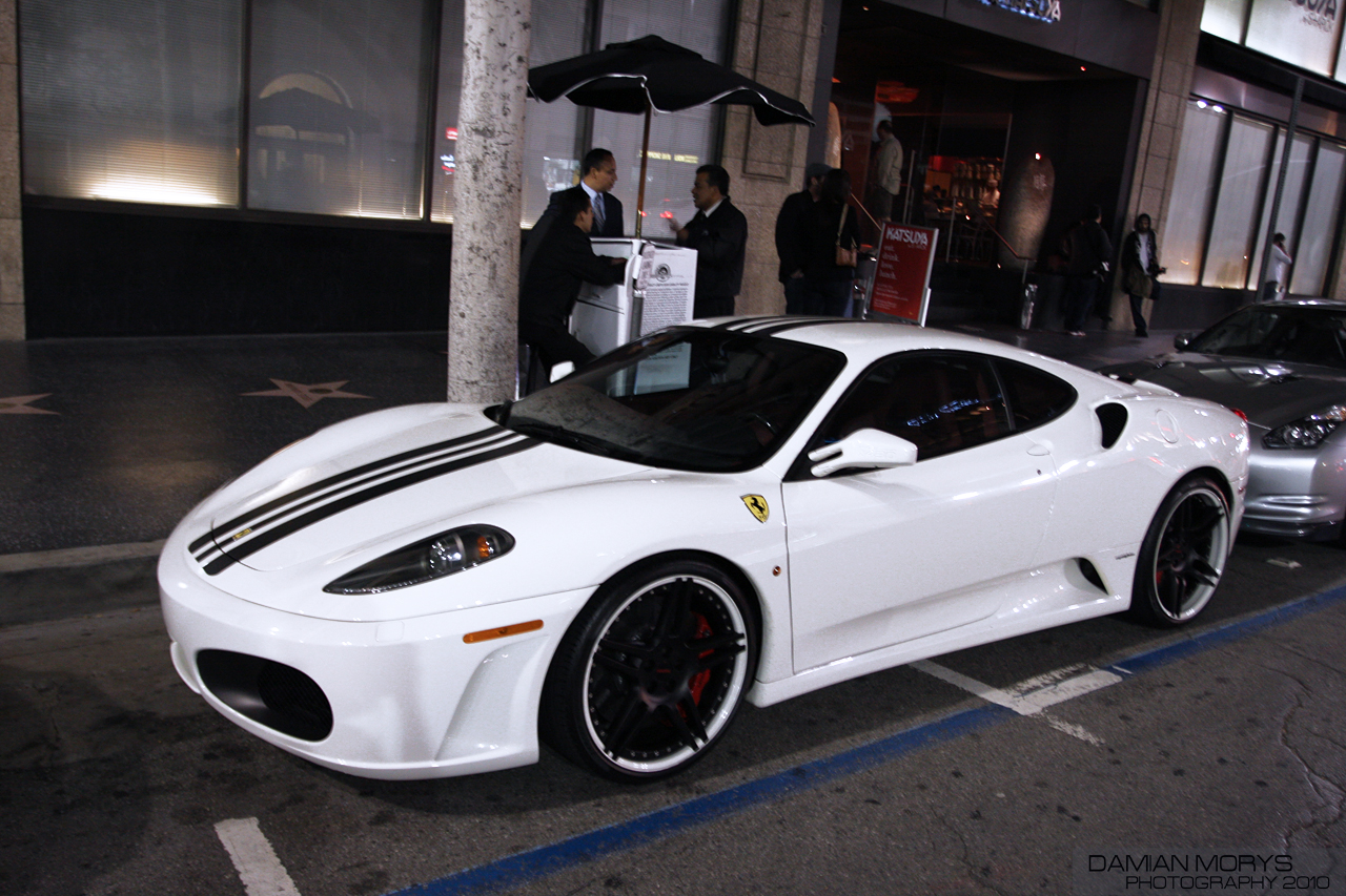 Complete Review of Novitec 2026: Latest Price Analysis